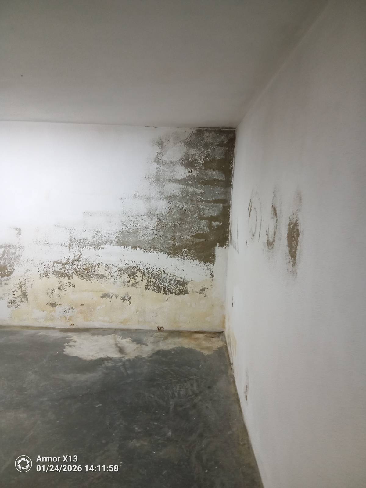 Limpa Comigo - Loures - Bordados
