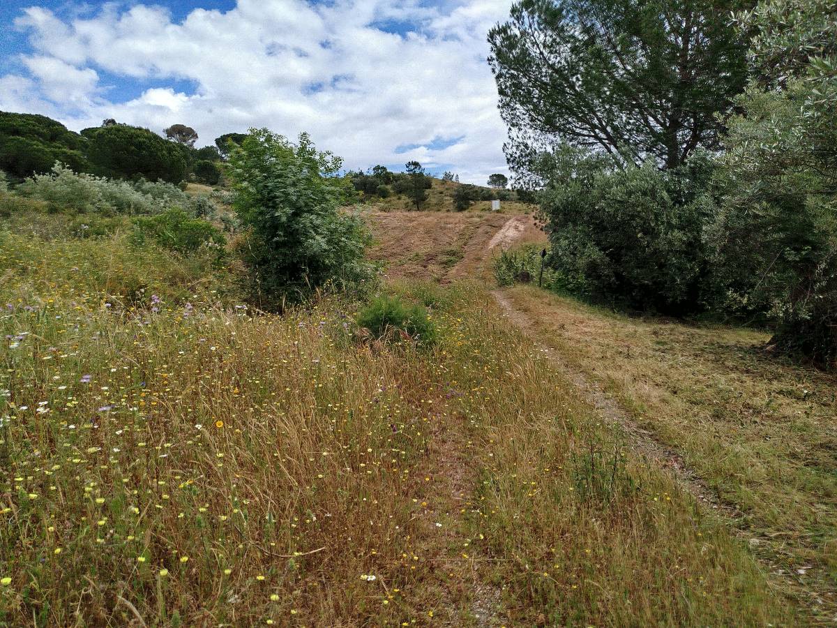 Araújo florestal - Rio Maior - Instalação de Relva Artificial