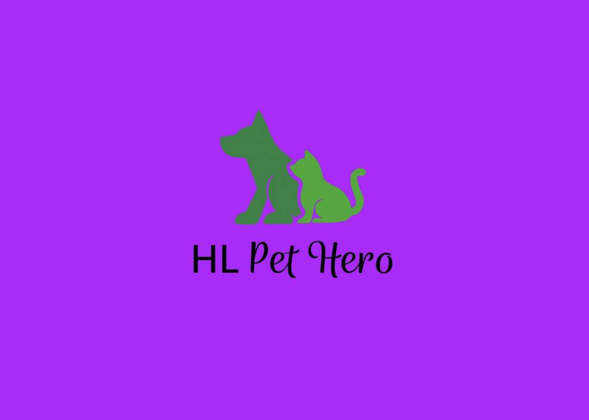 HL PetHero (Werner) - Porto - Dog Walking