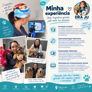 Dra Ju Petsitter - Braga - Haustierbetreuung und Tierpension