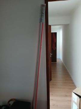 Window Blinds