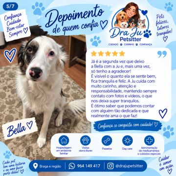 Dra Ju Petsitter - Braga - Hundetagesstätte (Hundesitter)