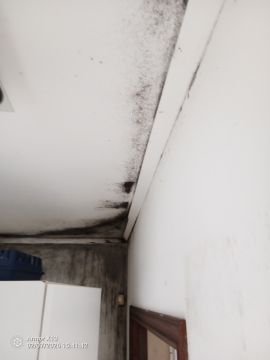 Limpa Comigo - Loures - Corte e Aparação de Relvado