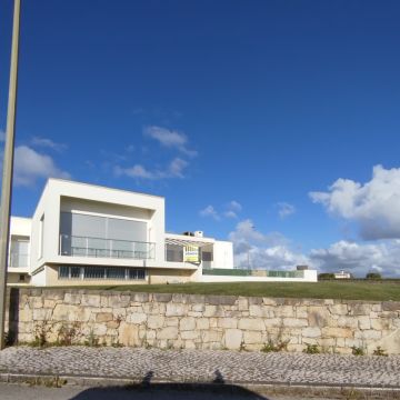 Araújo florestal - Rio Maior - Poda e Manutenção de Árvores