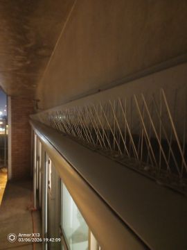 Limpa Comigo - Loures - Serviço de Suporte Técnico