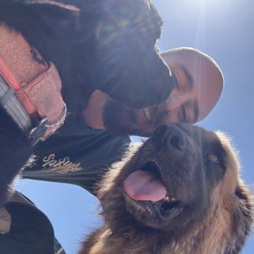 Dog walking e dog trainer - Nazaré - Dog Walking