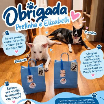 Dra Ju Petsitter - Braga - Hundepension