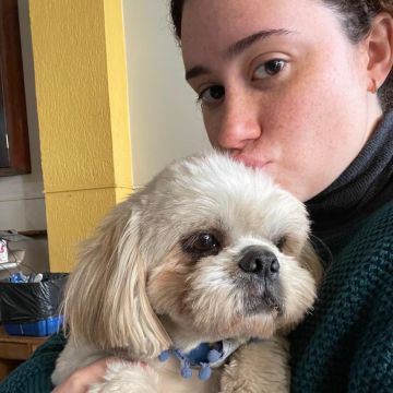 Vitoria Viegas - Lisboa - Banhos e Tosquias para Animais