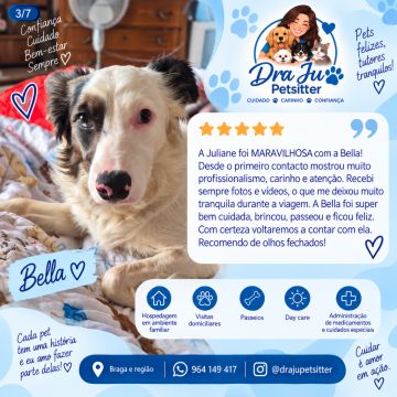 Dra Ju Petsitter - Braga - Haustierpflege