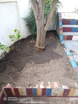 Limpa Comigo - Loures - Limpa-neves (Residencial)