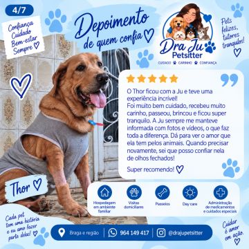 Dra Ju Petsitter - Braga - Katzensitter