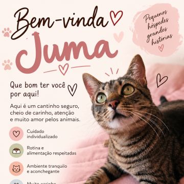 Dra Ju Petsitter - Braga - Hundeausführung