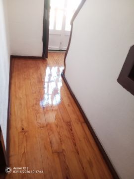 Limpa Comigo - Loures - Remoção de Tronco de Árvore