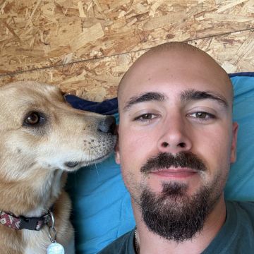 Dog walking e dog trainer - Nazaré - Baths and Grooming for Animals