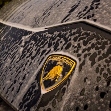 Spotless Car Care - Cascais - Coches
