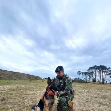 Dog walking e dog trainer - Nazaré - Dog Training - Private Lessons