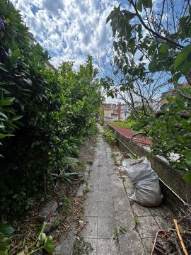 Limpa Comigo - Loures - Explicações de Biologia