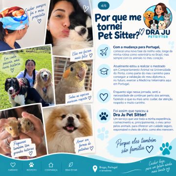 Dra Ju Petsitter - Braga - Hundeausführung