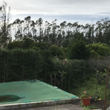Filipe Ferreira - Lourinhã - Remoção de Arbustos