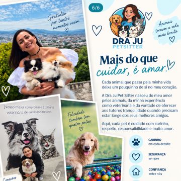 Dra Ju Petsitter - Braga - Tierpension