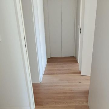 Rodrigo Silva - Loures - Instalação de Alcatifa