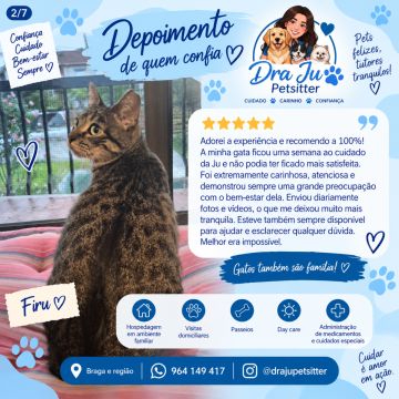 Dra Ju Petsitter - Braga - Hundetagesstätte (Hundesitter)
