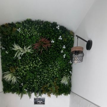 EduPrime Acabamento - Albufeira - Dachreinigung