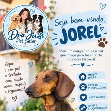 Dra Ju Petsitter - Braga - Katzensitter