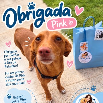 Dra Ju Petsitter - Braga - Hundesitter