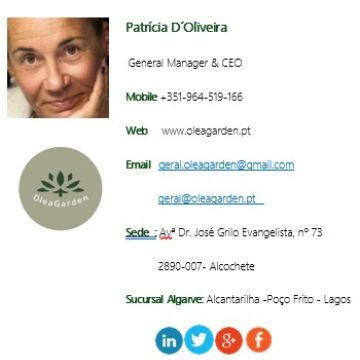 OLEAGARDEN, CONST INTERIORES E EXTERIORES, LDA(Patrícia Ruivo de Oliveira) - Lagoa - Cabinet Refacing