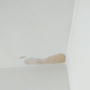Painting Company - Caldas da Rainha - Paredes, Pladur e Escadas