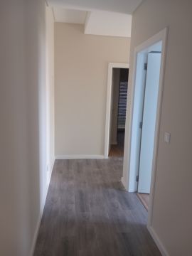 Fábio Leiria - Sesimbra - Construção de Cinema em Casa