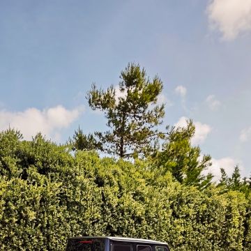 Spotless Car Care - Cascais - Limpieza y Lavado de Coches