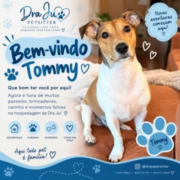 Dra Ju Petsitter - Braga - Haustierpflege