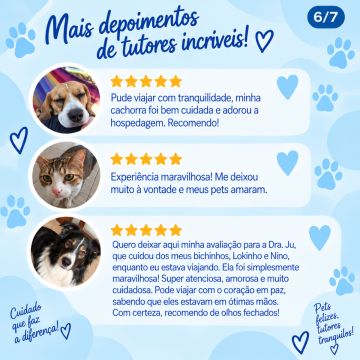 Dra Ju Petsitter - Braga - Hundesitter