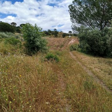 Araújo florestal - Rio Maior - Instalação de Relva Artificial