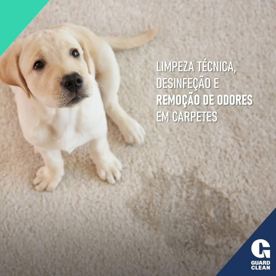 Guard Clean Coimbra - Coimbra - Limpieza de cortinas