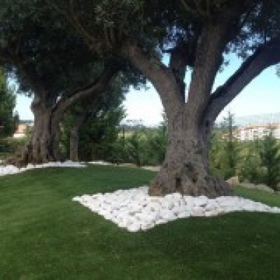 Aplicapasso - Oeiras - Landscaping