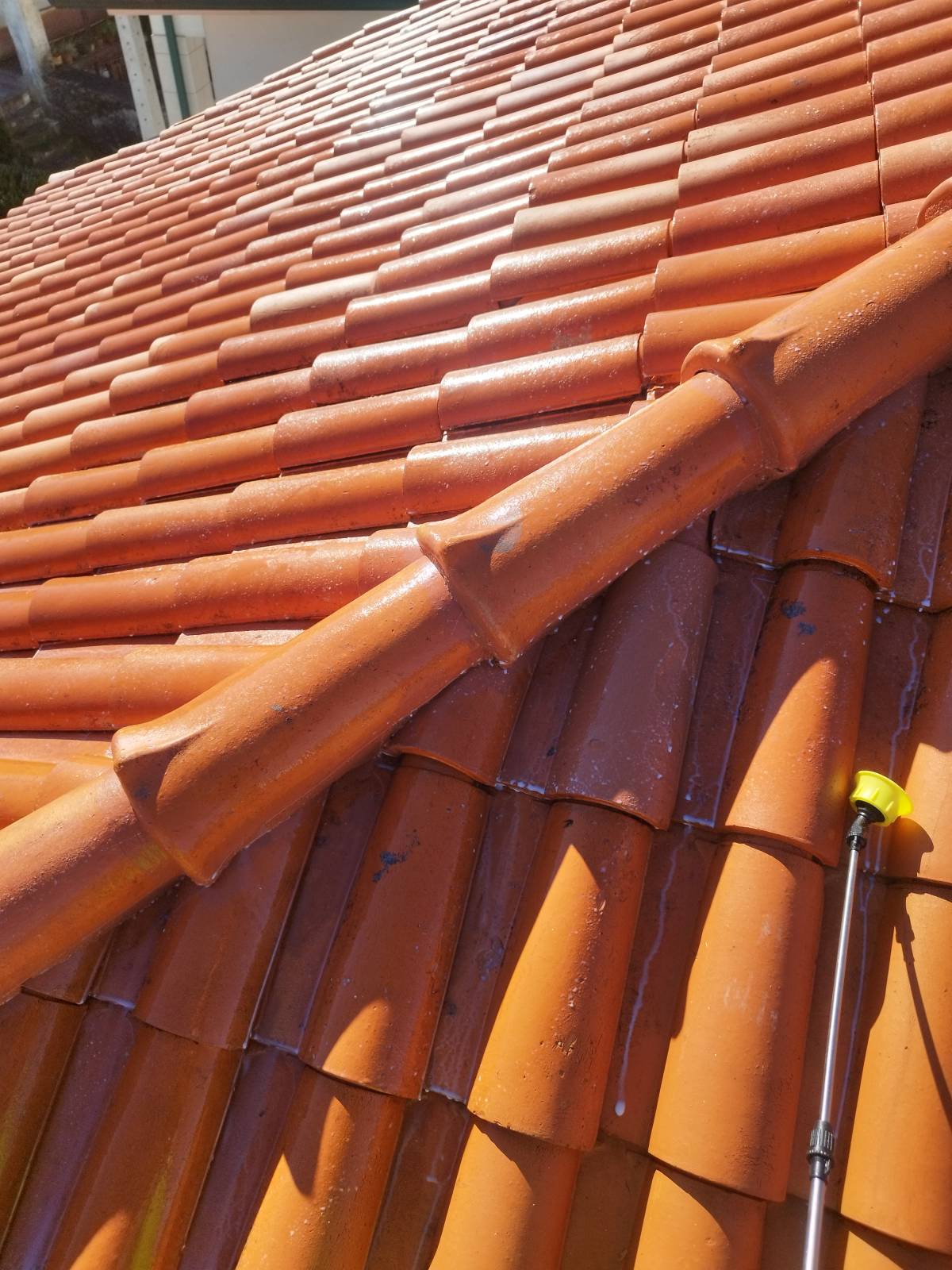 Telhado Sem Fungo - Coimbra - Roof Cleaning