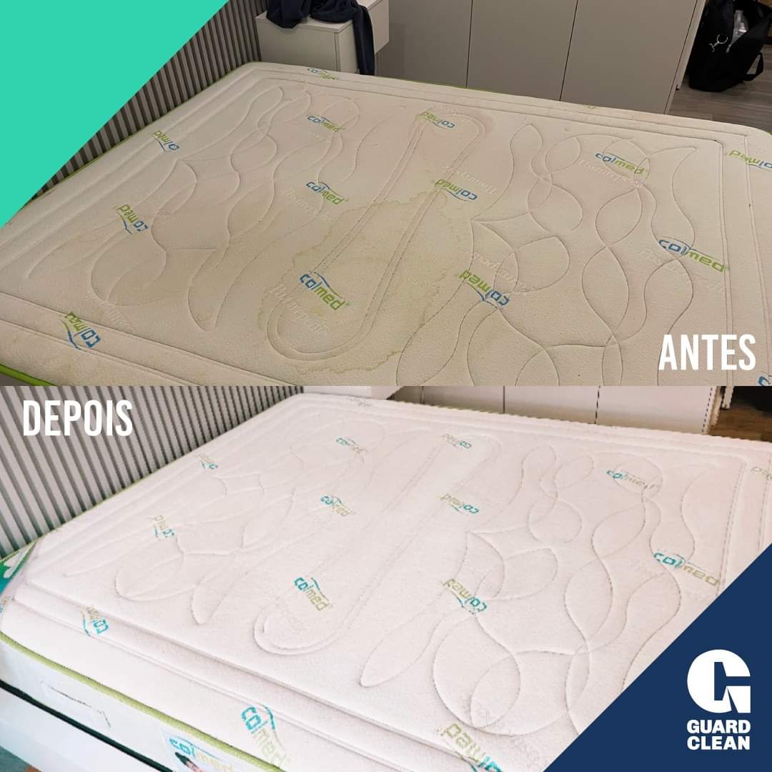 Guard Clean Coimbra - Coimbra - Limpieza de tapicerias y muebles