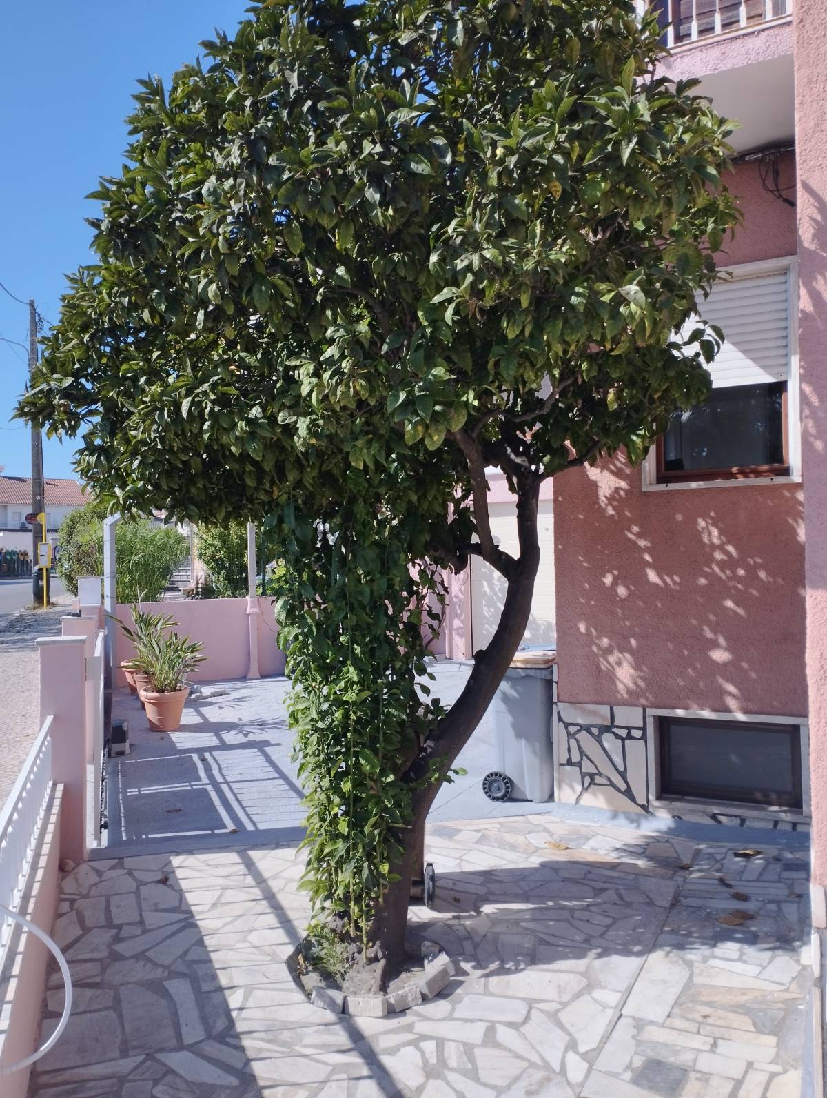 Jardinagem e Relvados