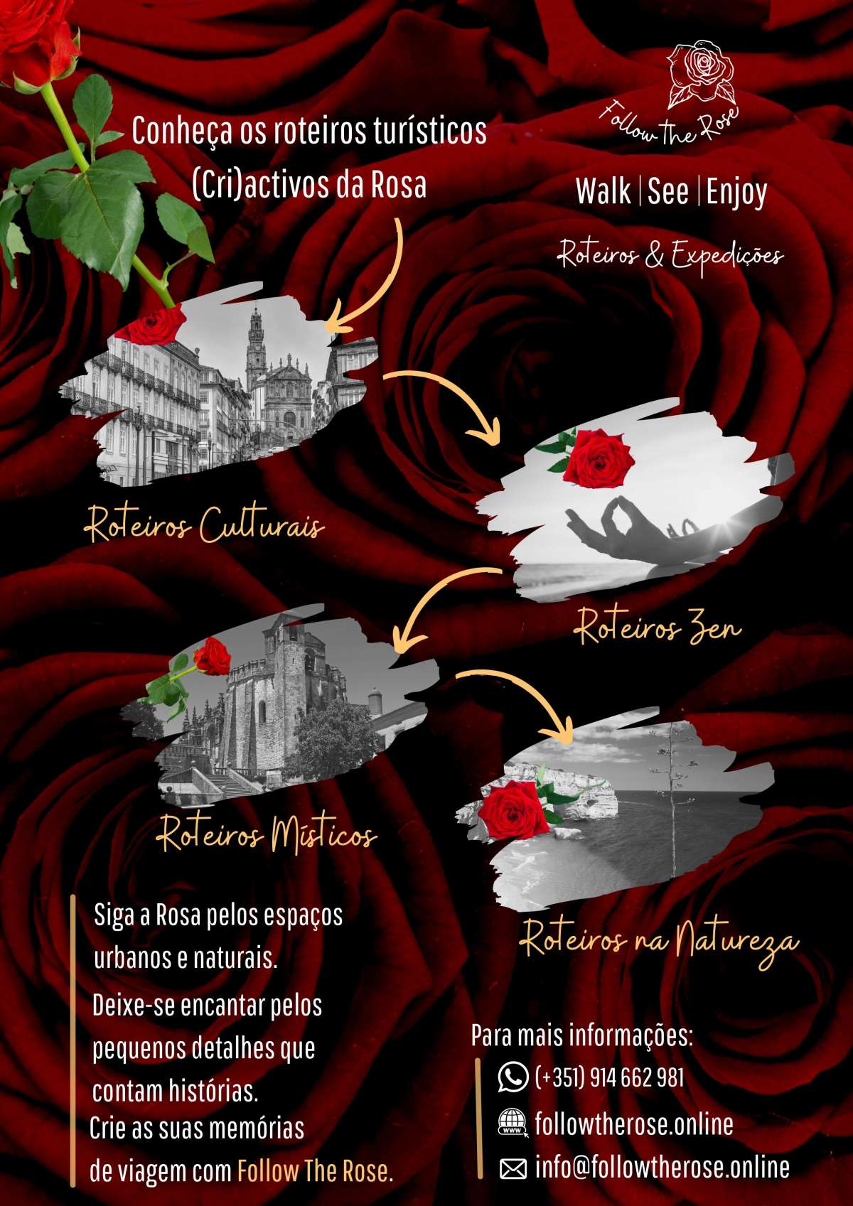 Rosa Reis - Gondomar - Translation