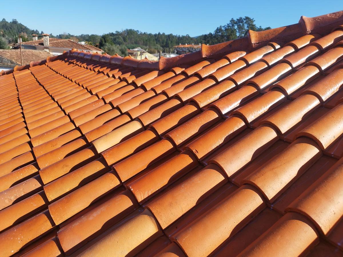 Telhado Sem Fungo - Coimbra - Gutter Installation or Replacement