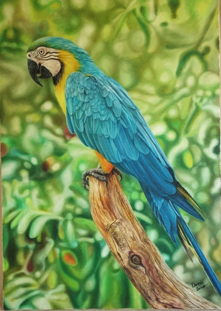 David Lino - Vila Nova de Famalicão - Drawing, Painting and Sculpture classes