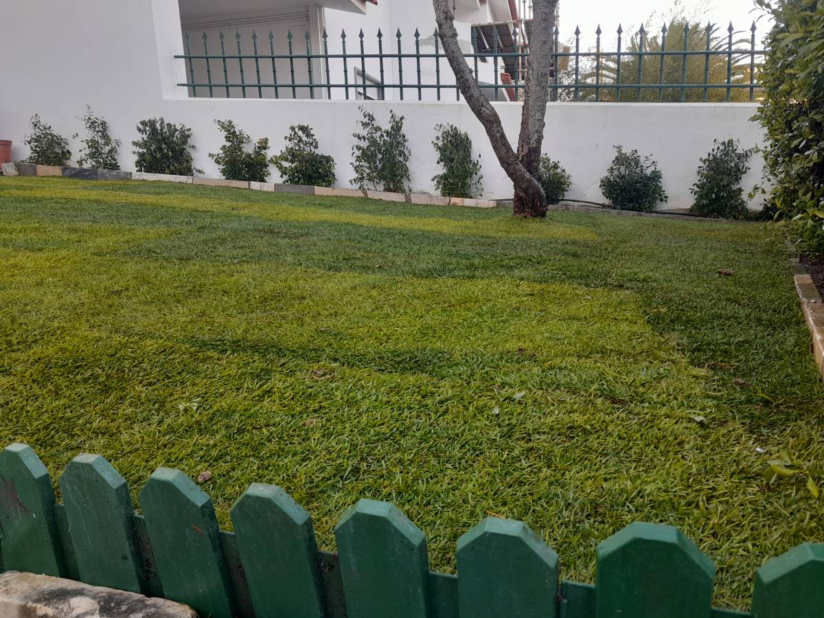 Jardins da Serra - Lisboa - Remoção de Arbustos