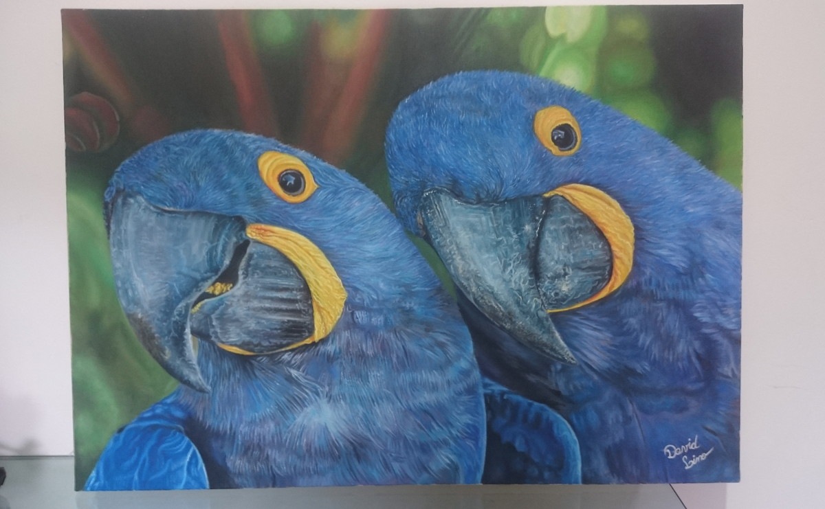 David Lino - Vila Nova de Famalicão - Drawing, Painting and Sculpture classes