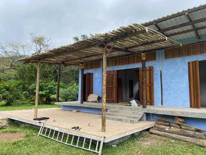 S.O.S CASA - Estarreja - Remoção de Arbustos