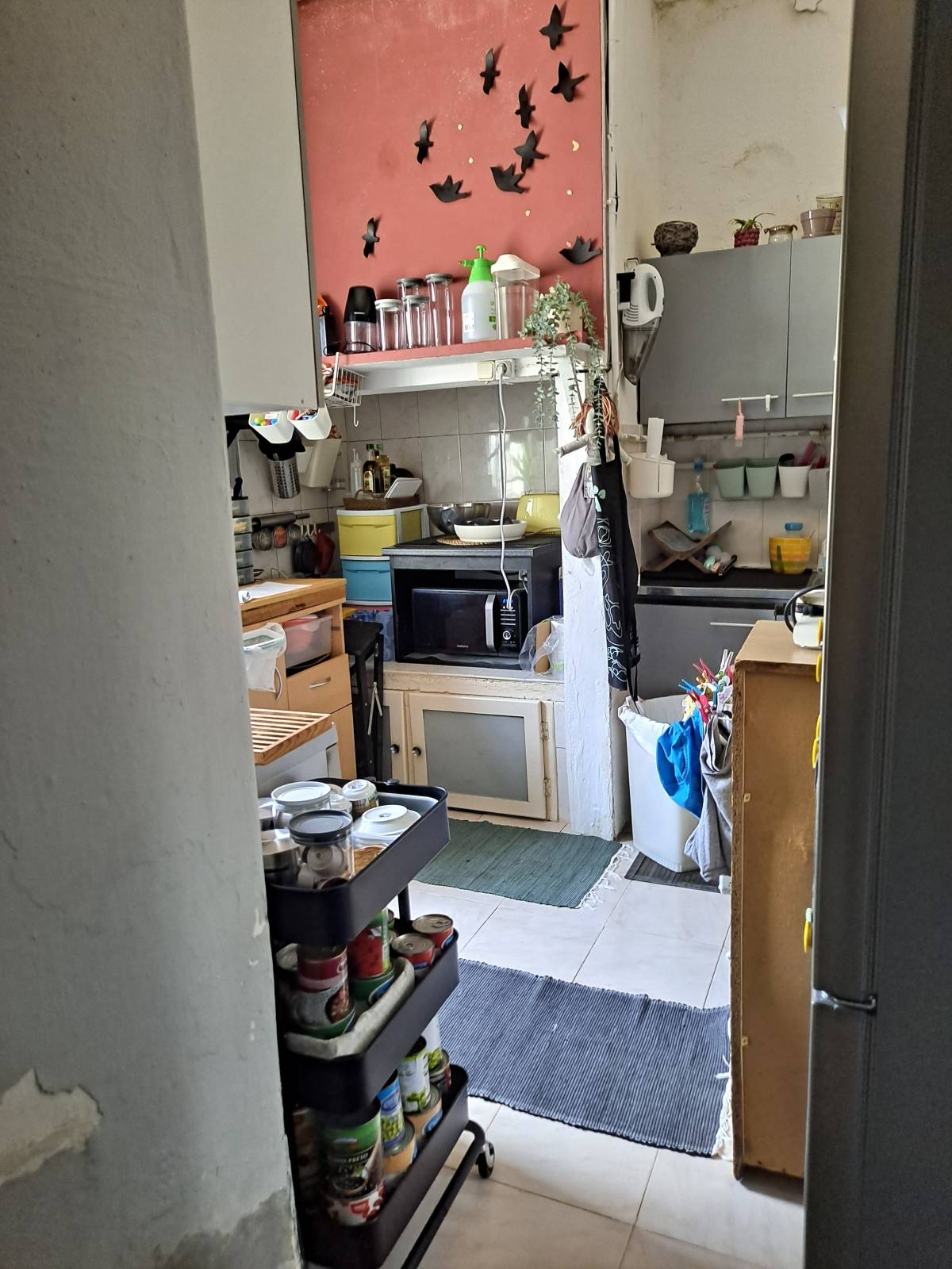 Cleaning service - Moita - Cleaning