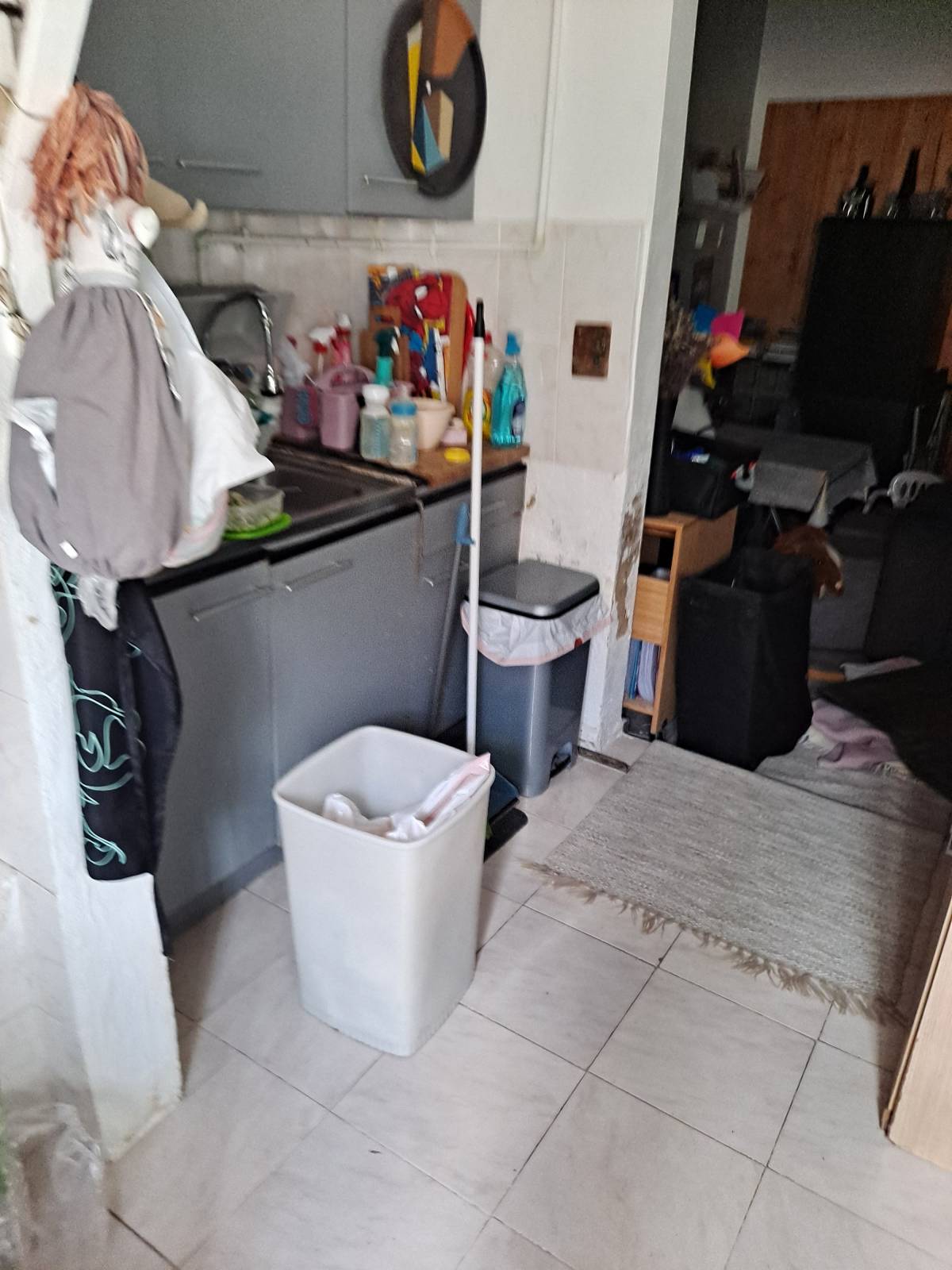 Cleaning service - Moita - Disinfection Company