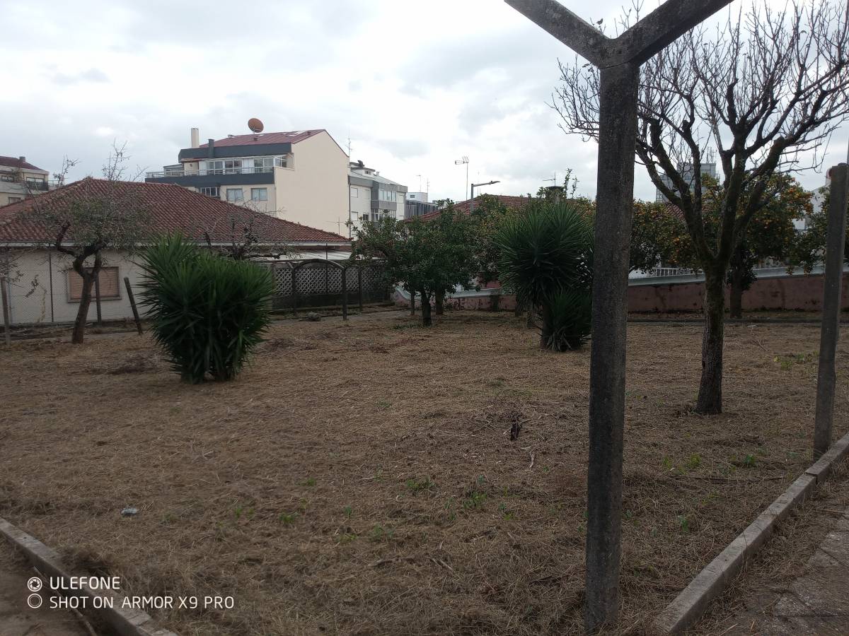 Luís Oliveira prestação de serviços - Santa Maria da Feira - Trituración y eliminación de tocones